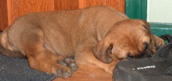 chipherrick profile photo