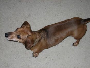 Penelopy77 profile photo