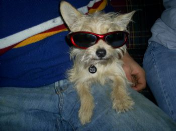 Amanda50325 profile photo