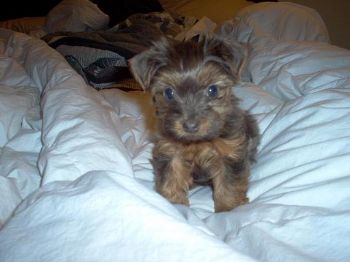 marcusm profile photo