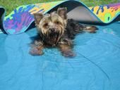 Lindsay4382 profile photo