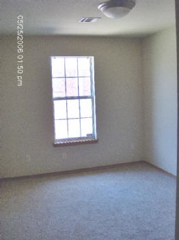 hazelwills profile photo