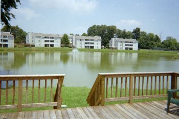 LeadSinger profile photo