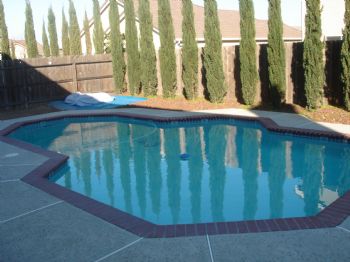 castelle profile photo