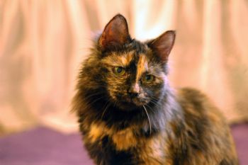 jbphdelaney profile photo