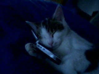 samister profile photo