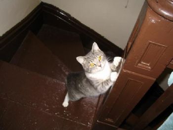 samister profile photo