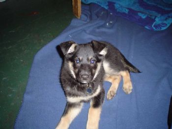 veronica20 profile photo