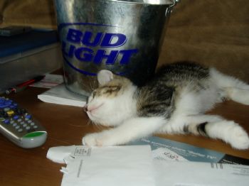 wazoo413 profile photo