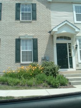 mprobst profile photo