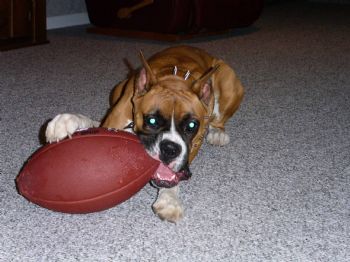 HRIS14 profile photo