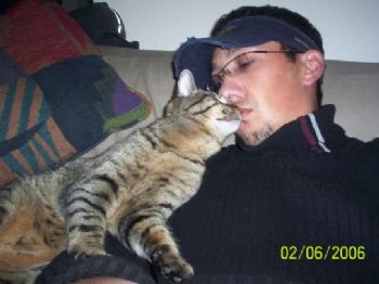 barguig profile photo