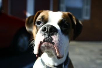davehead42 profile photo
