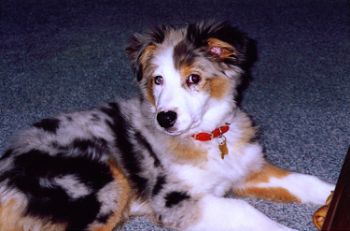 wmtomlinson profile photo