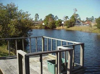 cocacola0210 profile photo