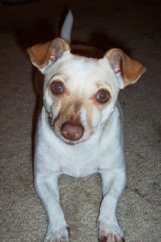jspain profile photo
