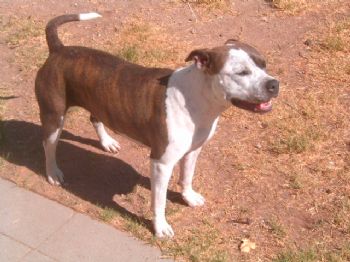 MIKEB30 profile photo