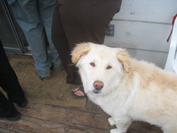 rabrams profile photo