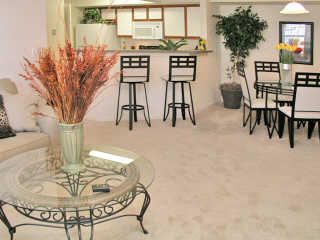 cherrycola profile photo