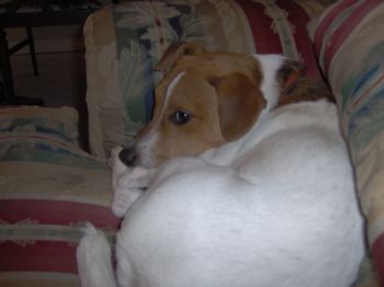 Jamiet82 profile photo