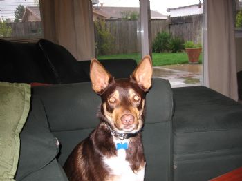 tahoewoody profile photo