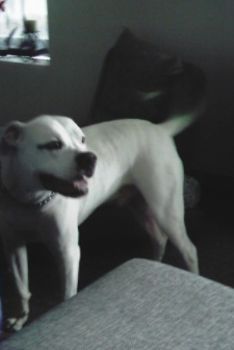 chadbp44 profile photo