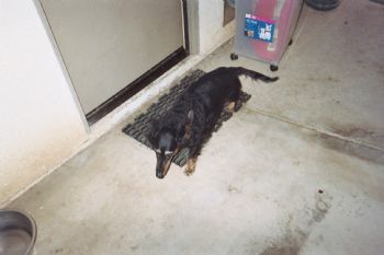 goodteacher profile photo