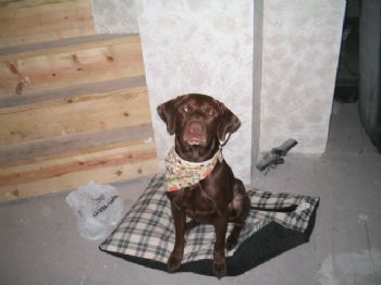 sdfbn4 profile photo