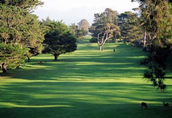 PGwriter profile photo