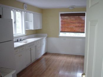 scout_saint profile photo