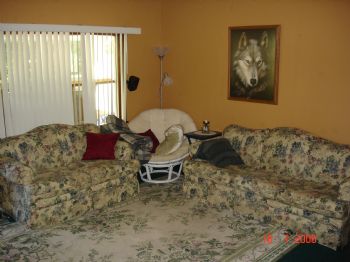 scout_saint profile photo