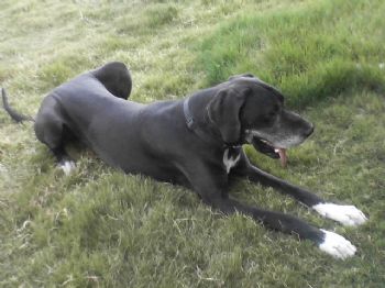 Jesserockwal profile photo