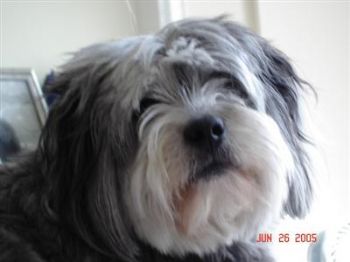 TTARATSA profile photo