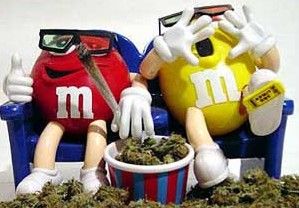 guppster profile photo