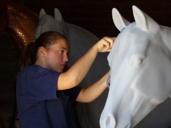 shadedtint profile photo