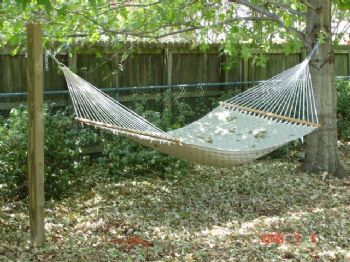 dotnetsp2 profile photo