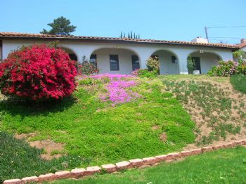 truiz3 profile photo