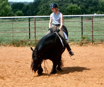 ACAnderson profile photo