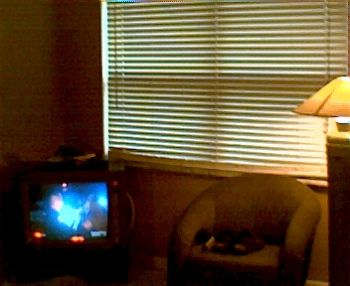 rocky4utoo profile photo