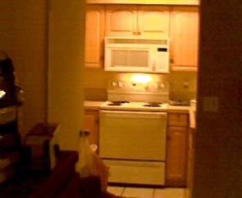 rocky4utoo profile photo