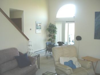 heine21 profile photo