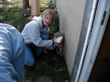 meganjune profile photo