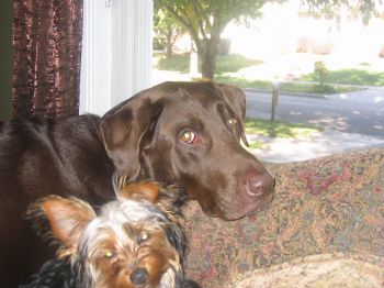 npcalori profile photo