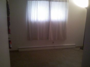 cpdamico profile photo