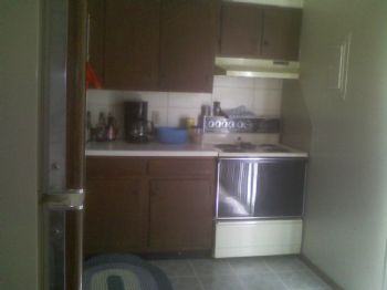 cpdamico profile photo