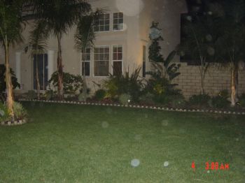 fguagua profile photo