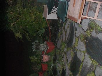 Casperstreet profile photo