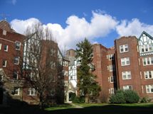 Kitten_1 profile photo