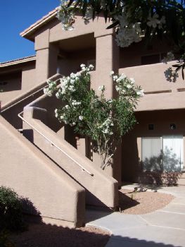 Perplexy profile photo