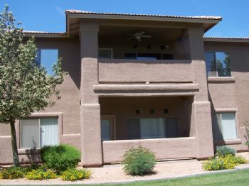 Perplexy profile photo